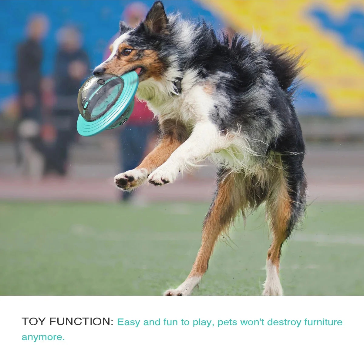 Multi-function Feeder Puppy Slow Feeder Interactive Cat Toy Dog Outdoor Training Toy Improve IQ For Small Medium Large Dogs Cats