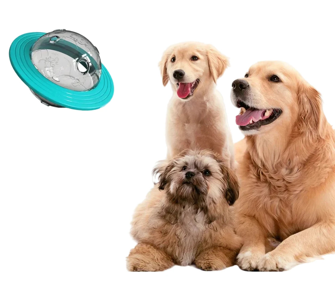 Interactive slow feeder puzzle toy for dogs and cats-Petuseful