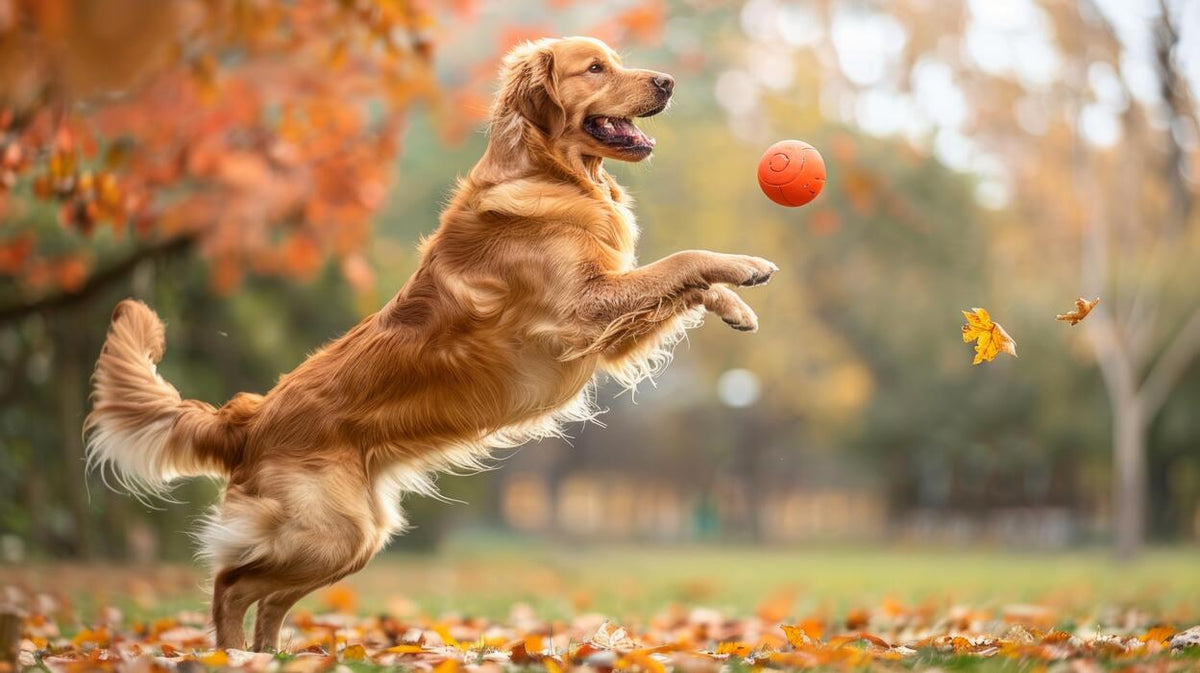 slider image 1621243260e1af0c20-0